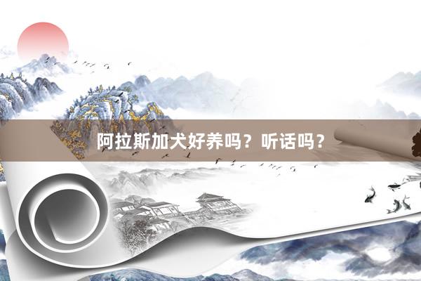 阿拉斯加犬好养吗?听话吗?