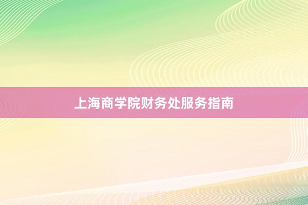 上海商学院财务处服务指南